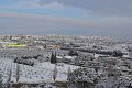 DSC 0010